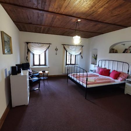 Aparthotel Zidovna Vysoky Chlumec Extérieur photo
